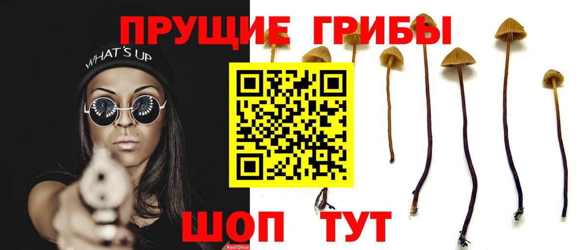 Галлюциногенные грибы Psilocybine cubensis  Вход с VPN  Псилоцибиновые грибы Magic Shrooms  Реж 